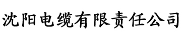 我夺舍了大唐太子电缆厂logo